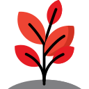 plant2